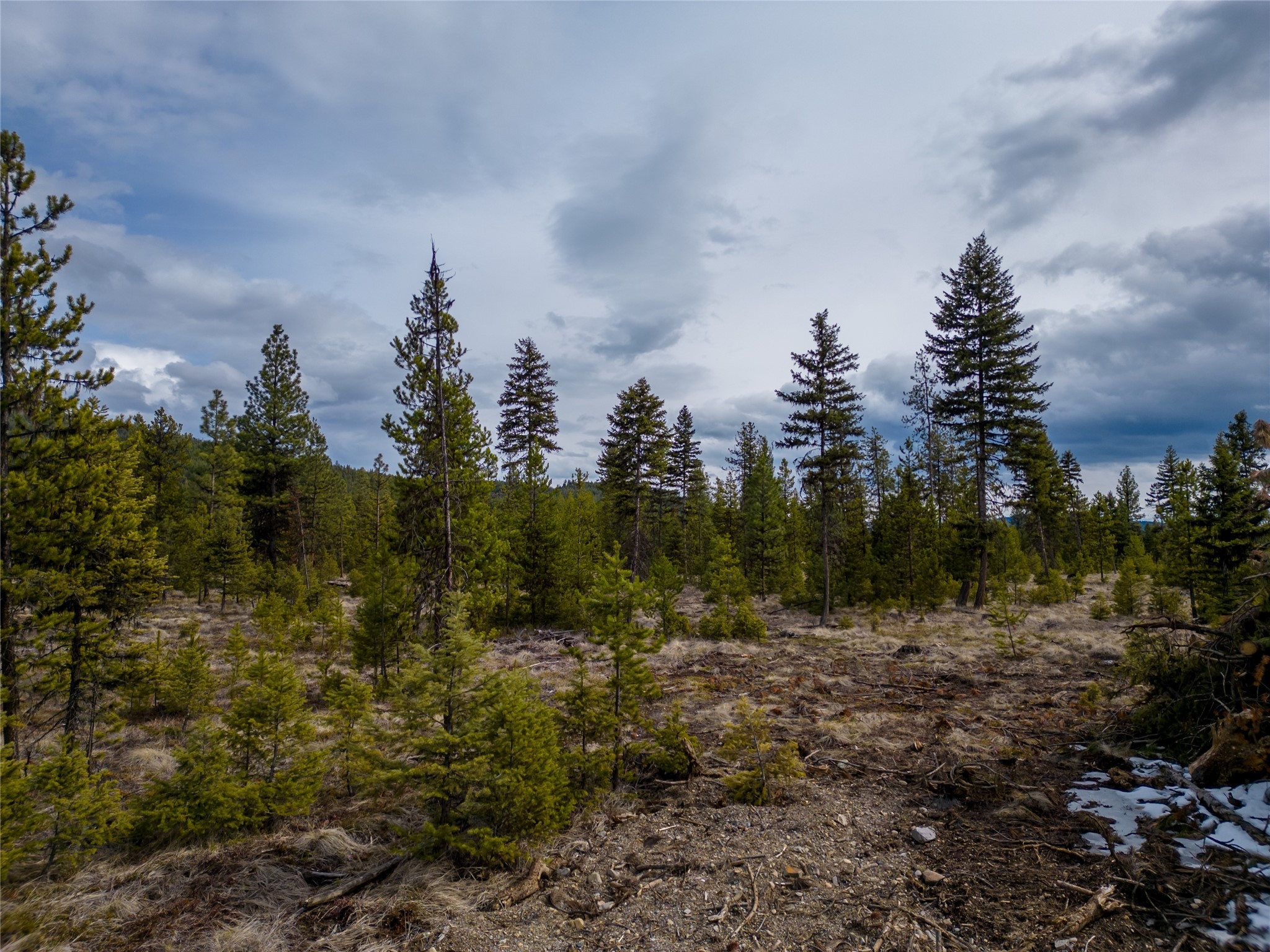 Lot 12 Klabo Drive Property Photo 6