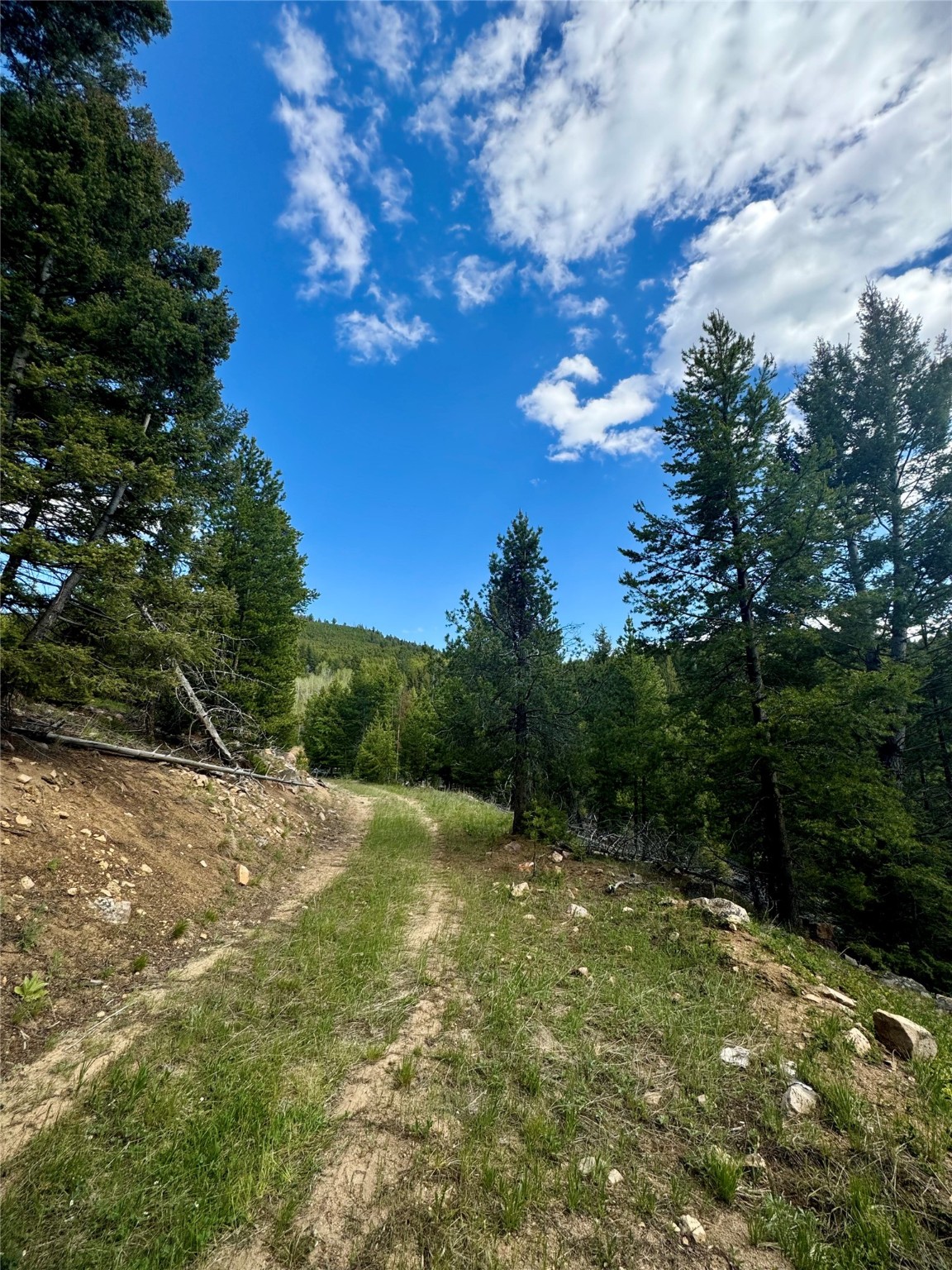 Nhn Perkins Gulch Road Property Photo 3