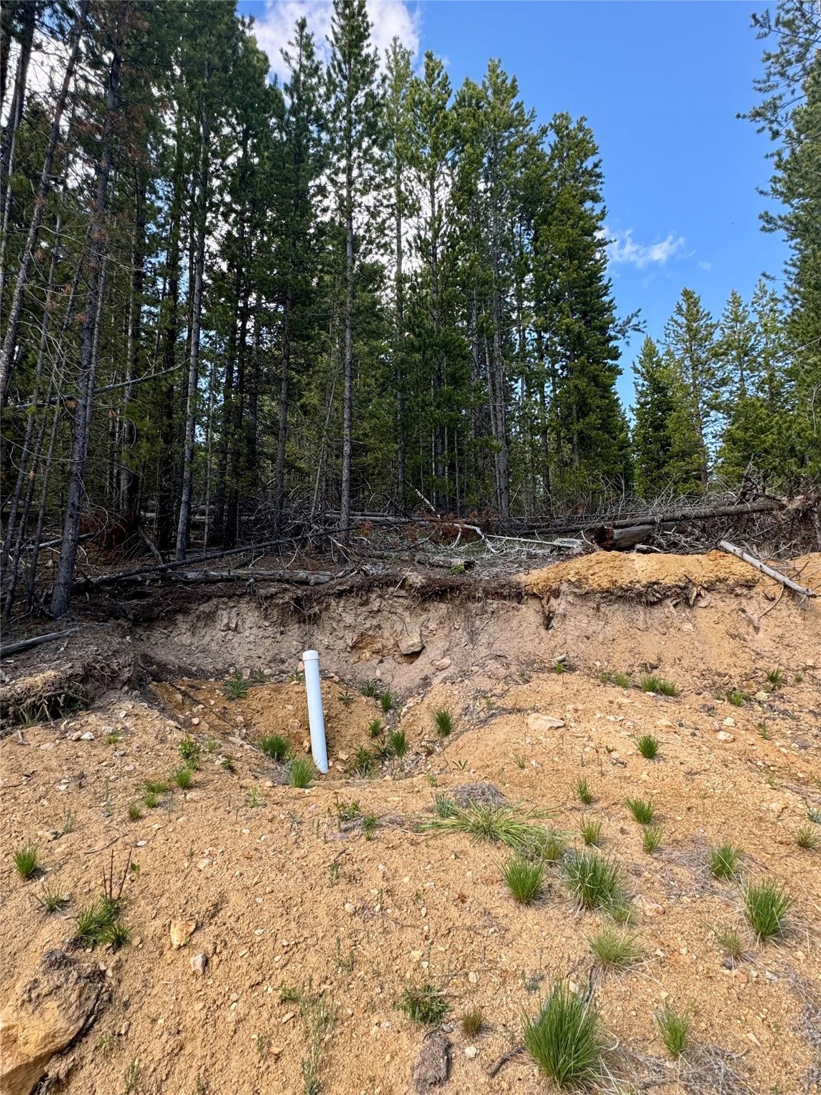 Nhn Perkins Gulch Road Property Photo 4