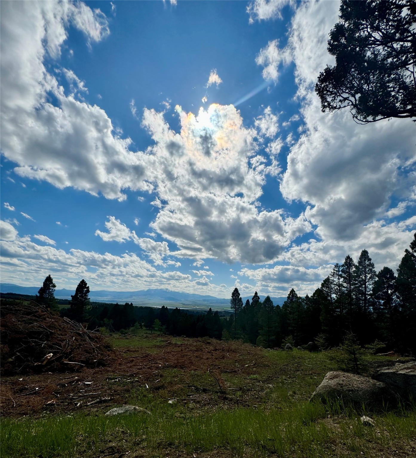 Nhn Perkins Gulch Road Property Photo 5