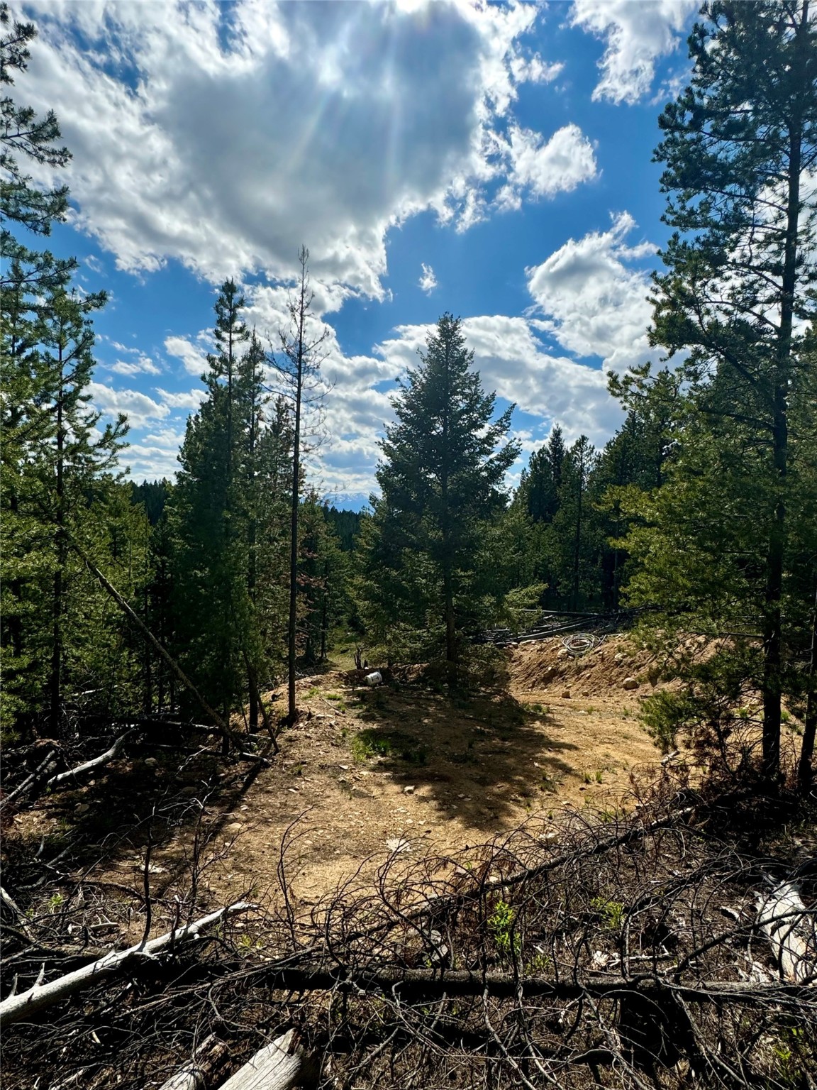 Nhn Perkins Gulch Road Property Photo 6