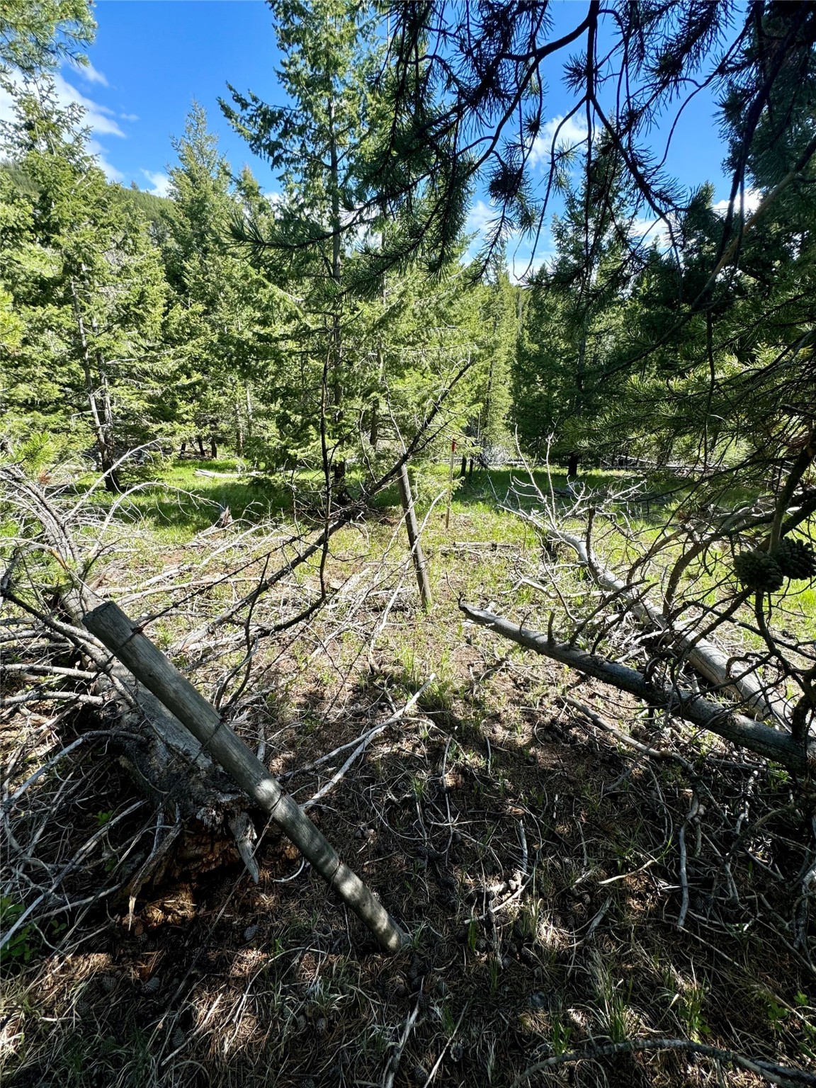 Nhn Perkins Gulch Road Property Photo 7