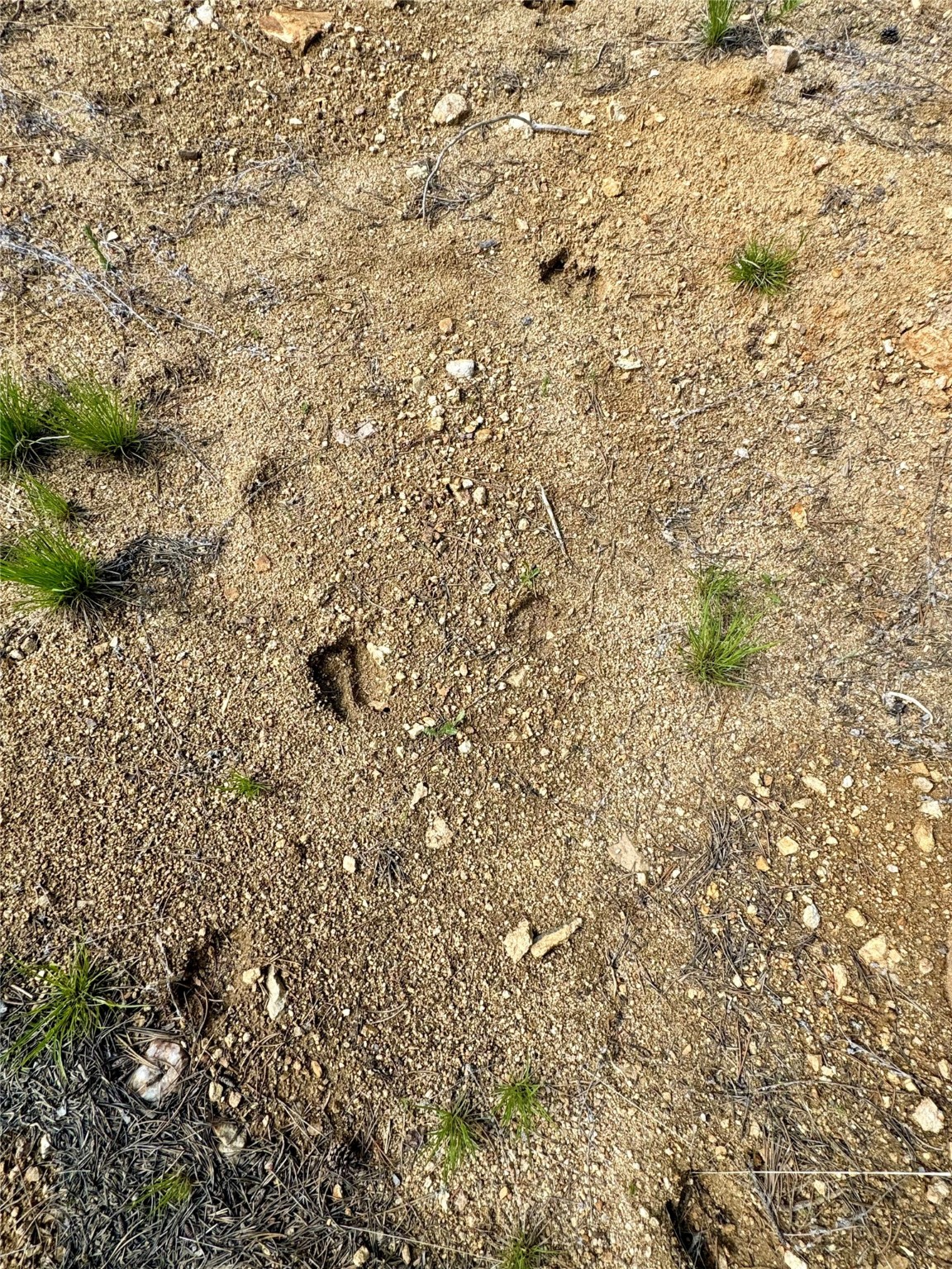 Nhn Perkins Gulch Road Property Photo 8