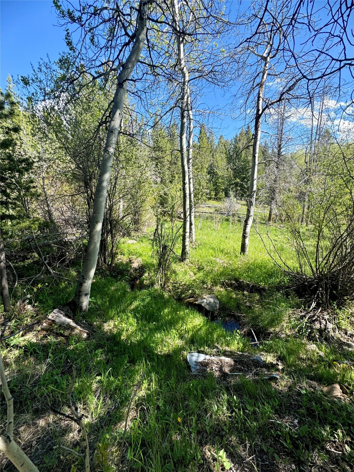 Nhn Perkins Gulch Road Property Photo 10