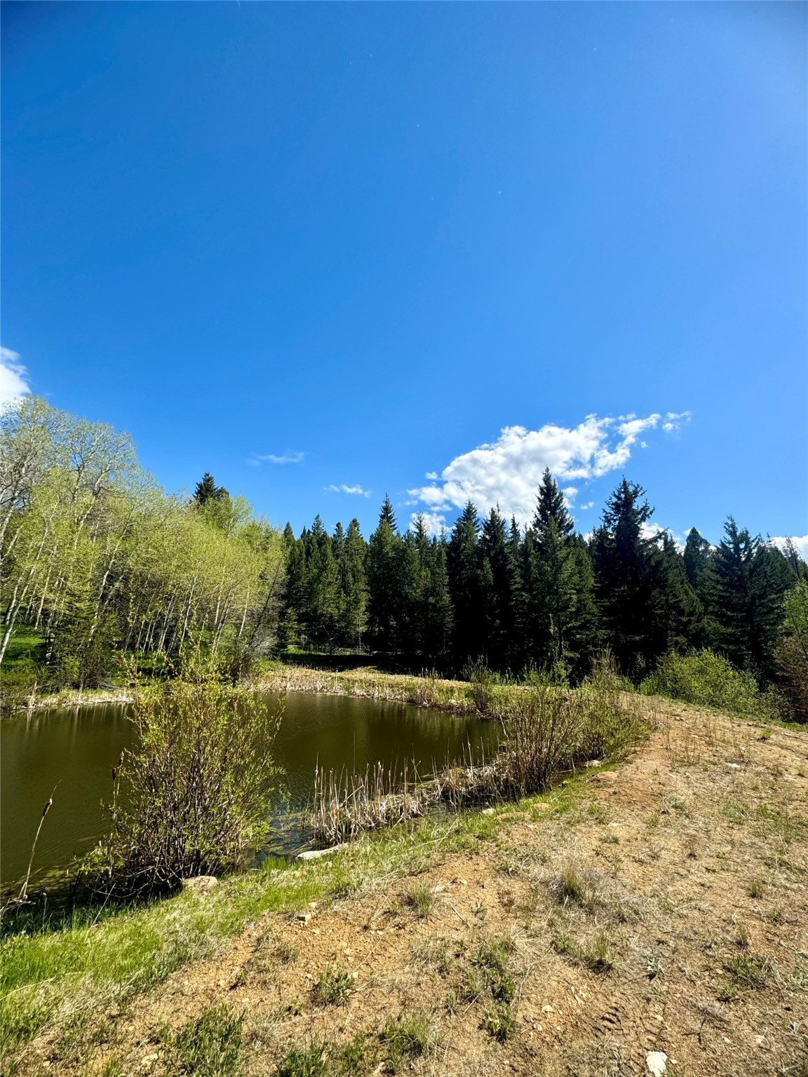 Nhn Perkins Gulch Road Property Photo 13