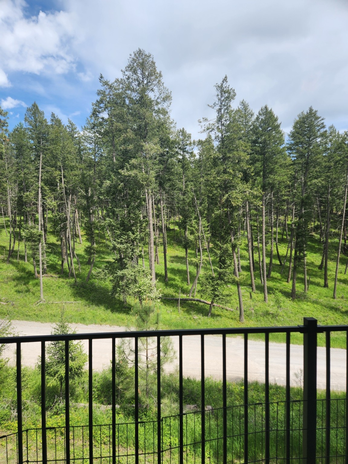128 Saddle Loop Property Photo 5