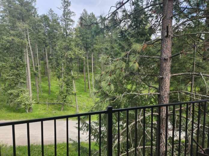128 Saddle Loop Property Photo 20