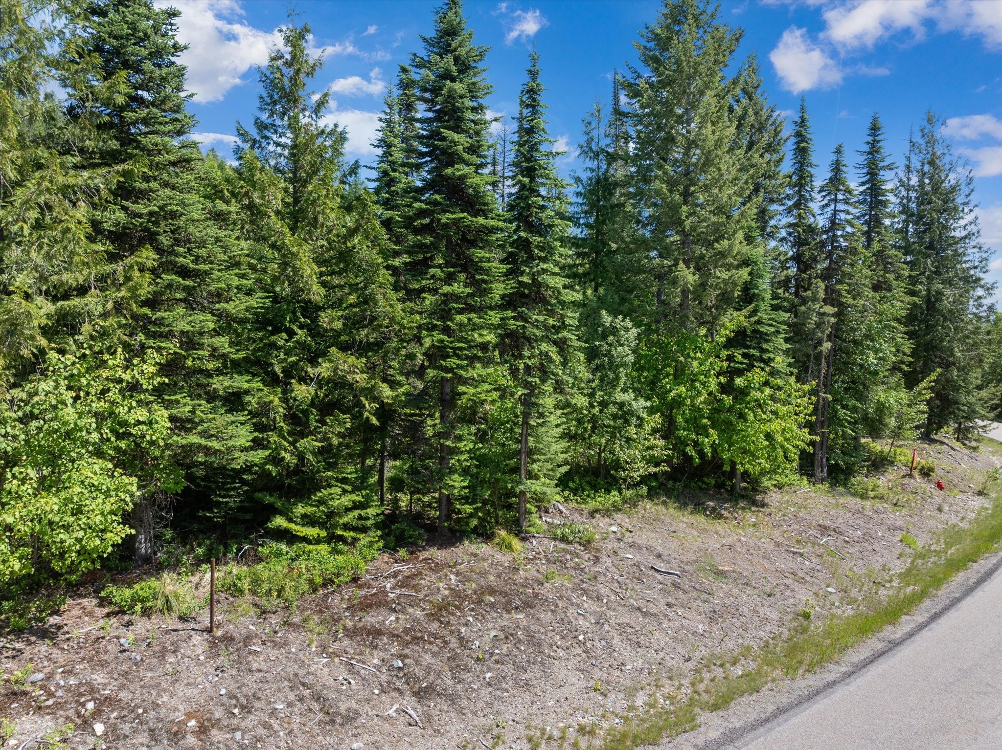 191 Woodlandstar Circle Property Photo 4
