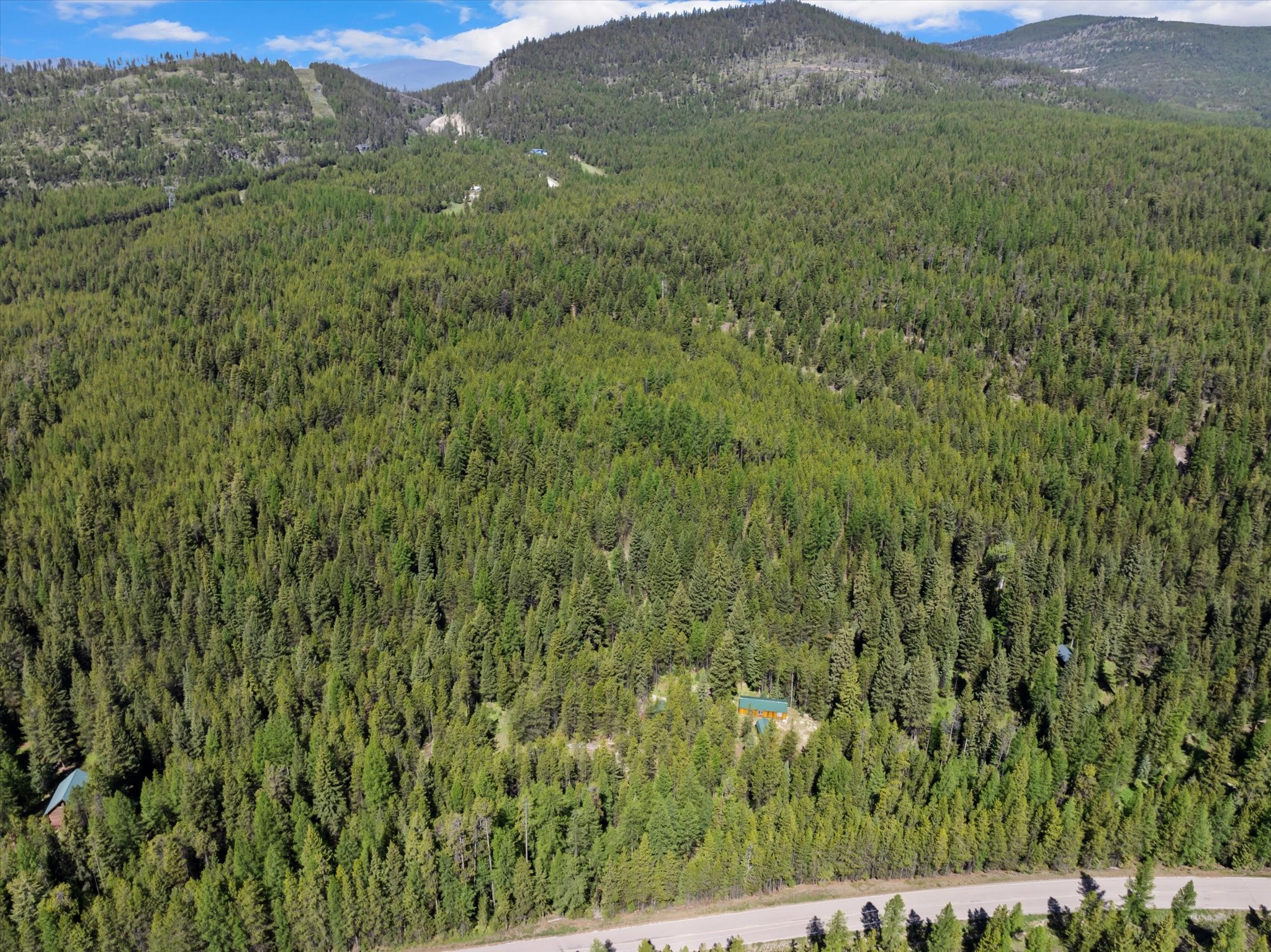 180 Griffin Creek Road Property Photo 24