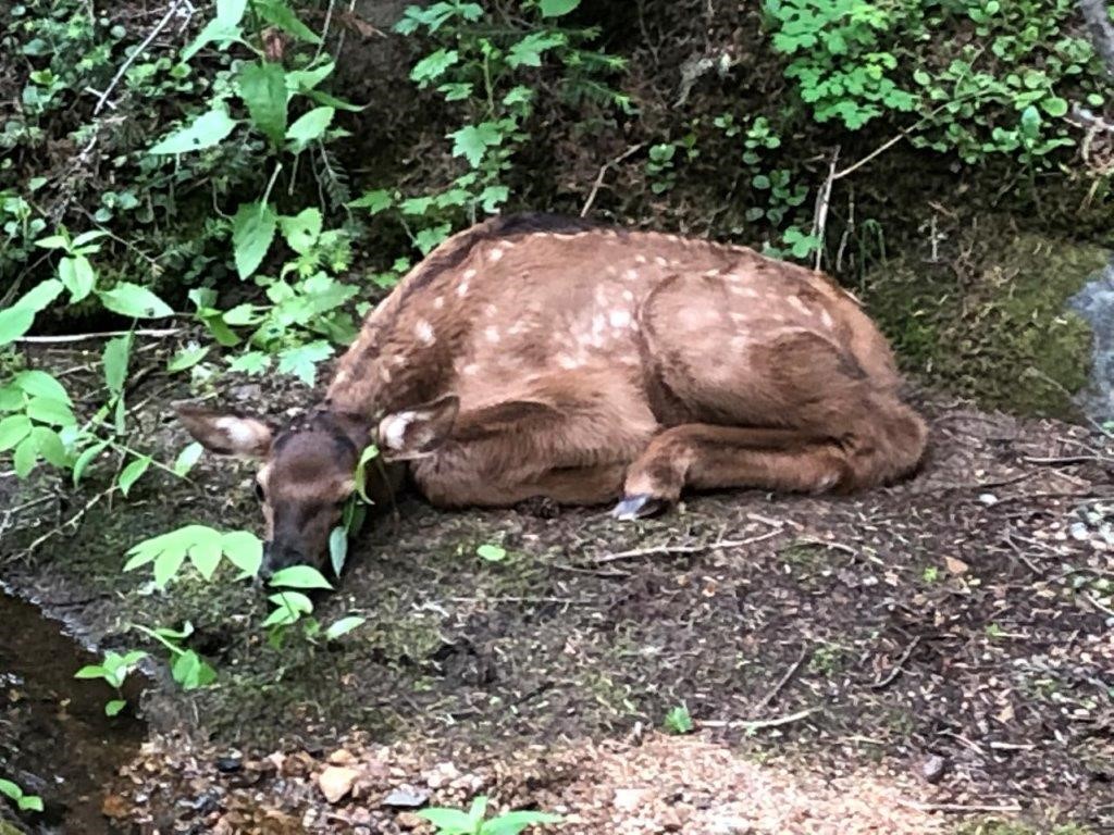 2674 S Boulder Road Property Photo 2