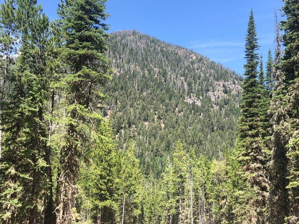 2674 S Boulder Road Property Photo 4