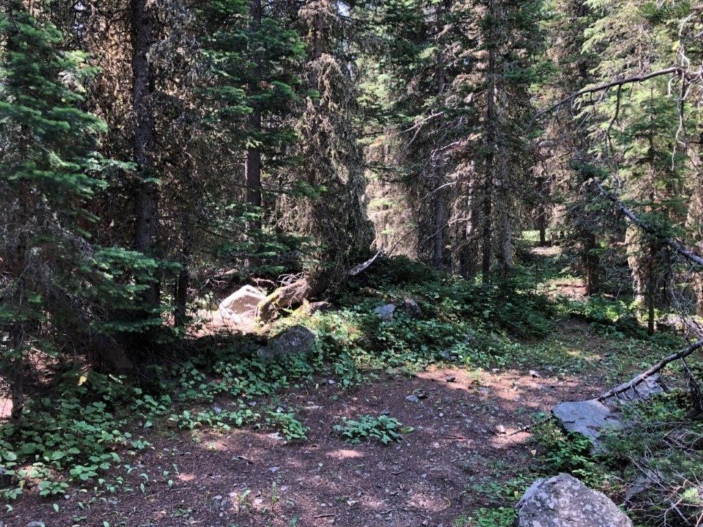 2674 S Boulder Road Property Photo 6