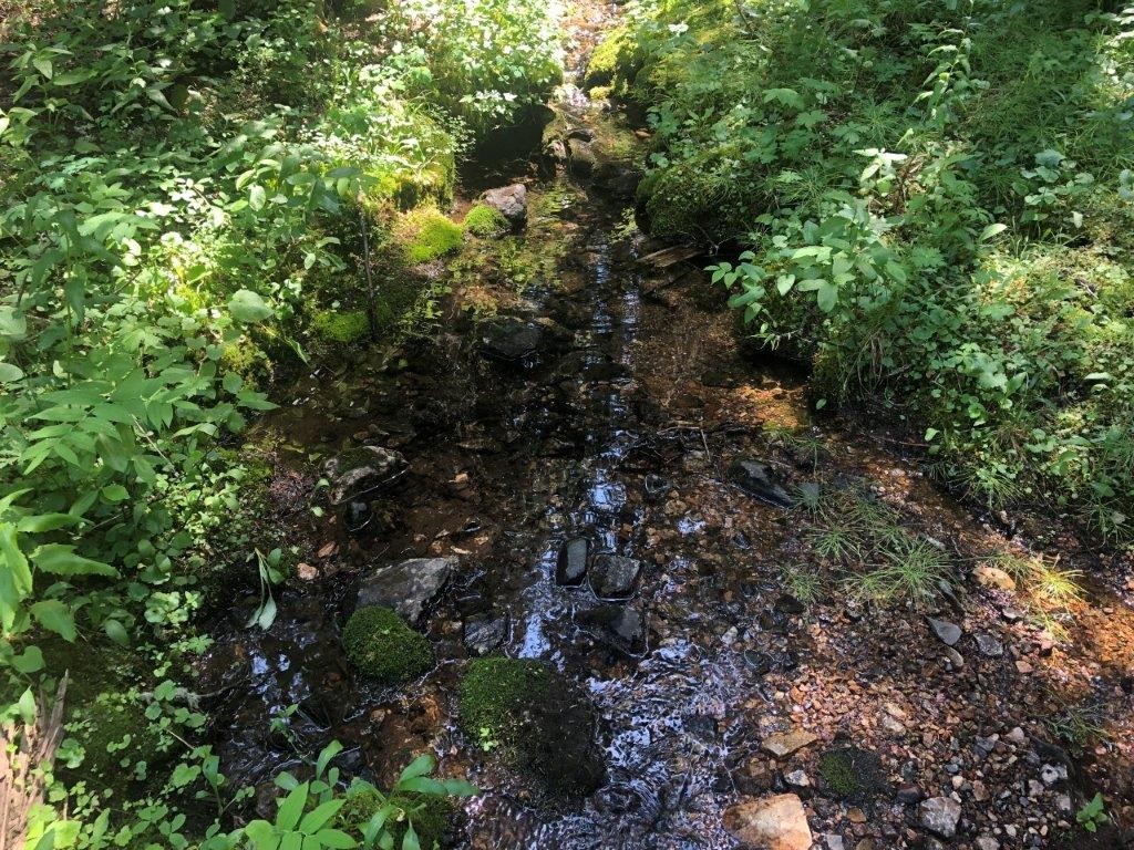 2674 S Boulder Road Property Photo 15