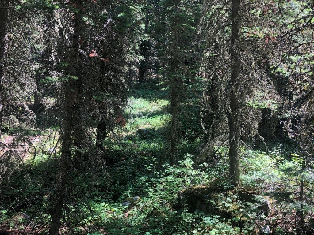 2674 S Boulder Road Property Photo 16