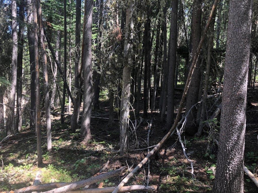 2674 S Boulder Road Property Photo 17