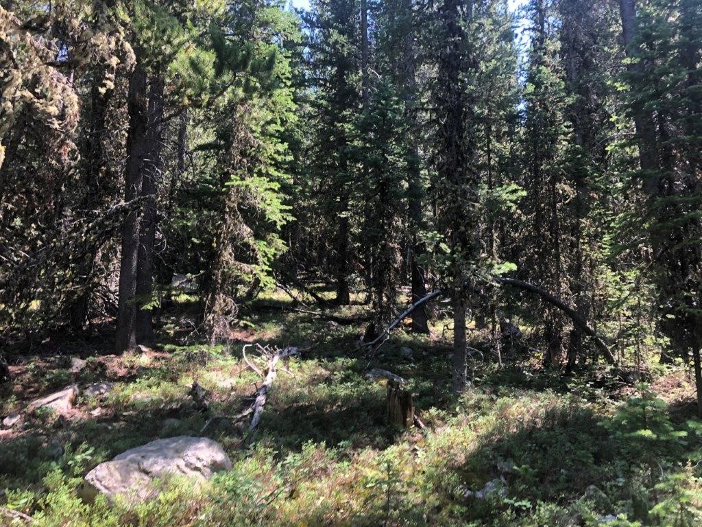 2674 S Boulder Road Property Photo 20