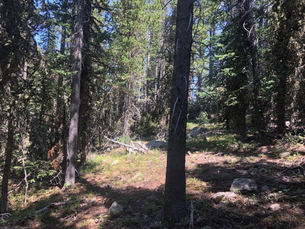 2674 S Boulder Road Property Photo 21