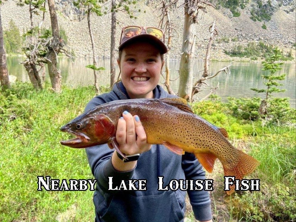 2674 S Boulder Road Property Photo 24