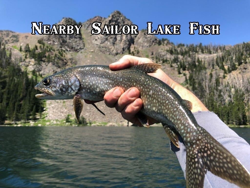 2674 S Boulder Road Property Photo 27