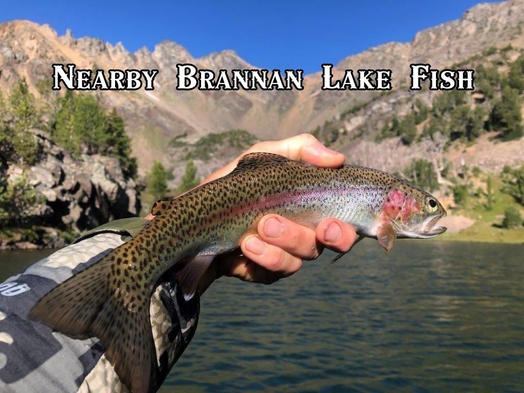 2674 S Boulder Road Property Photo 28