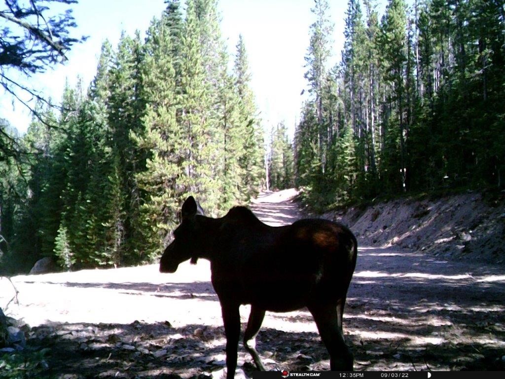 2674 S Boulder Road Property Photo 31
