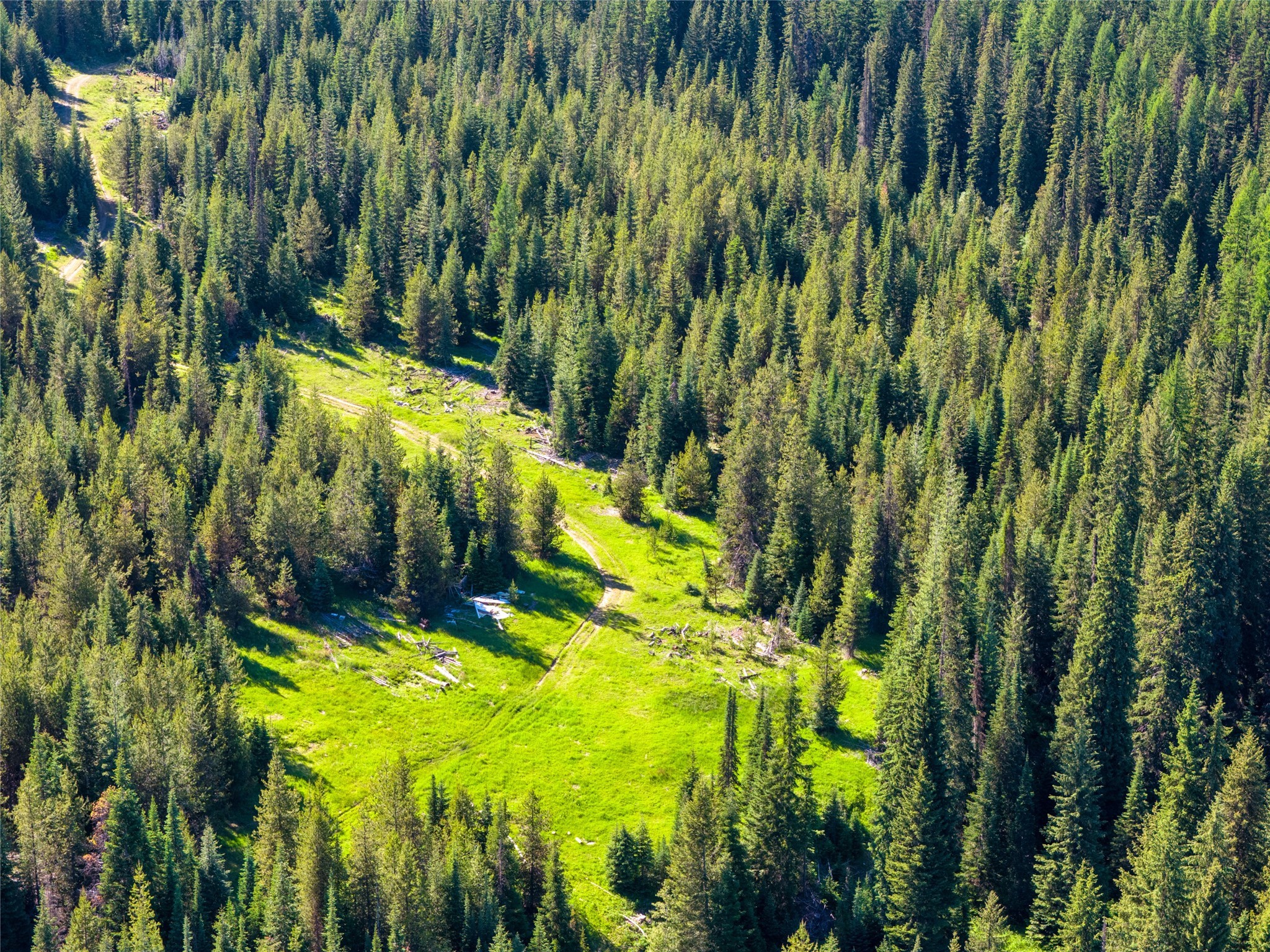 Unk Packer Creek Road Property Photo