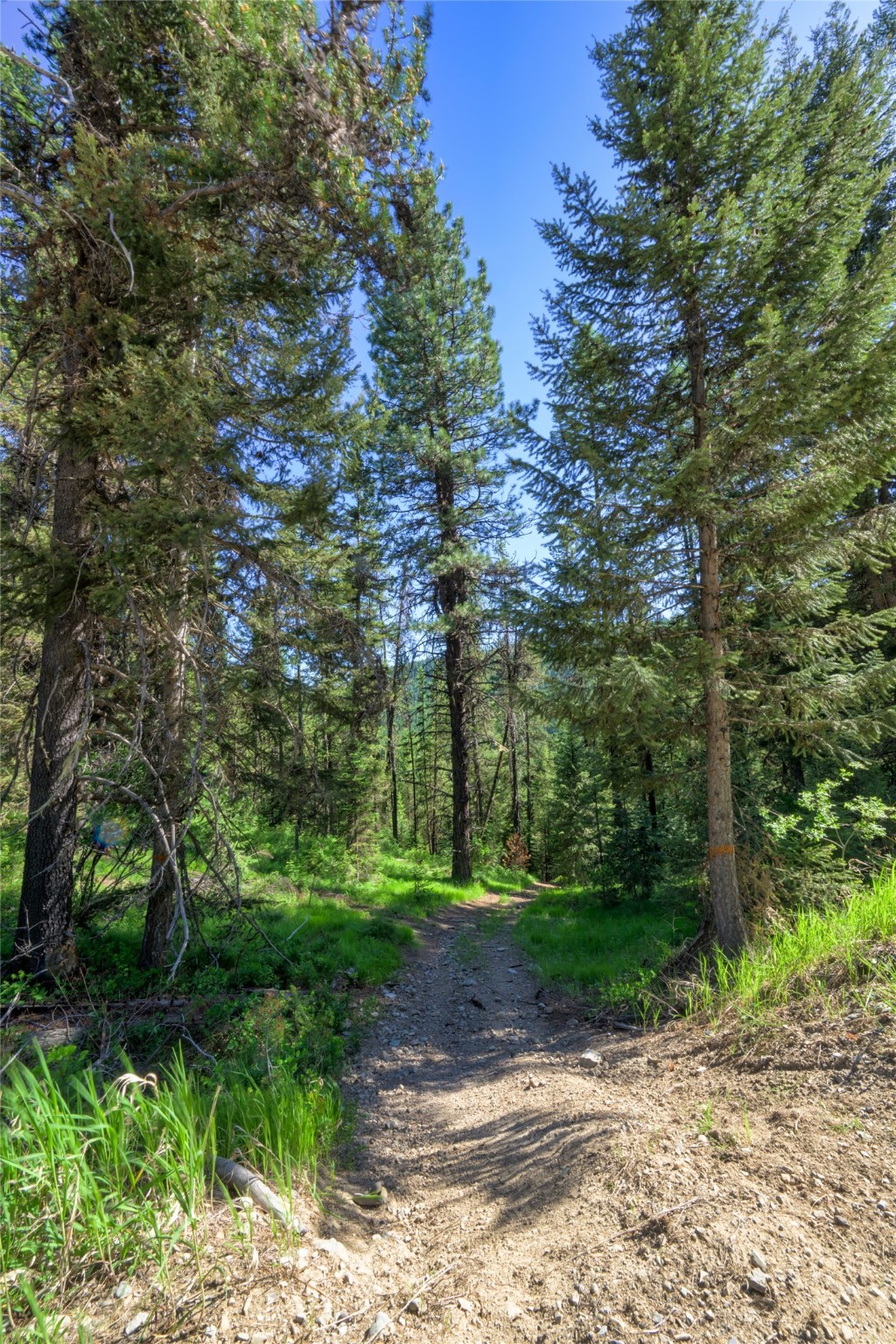 Unk Packer Creek Road Property Photo 2