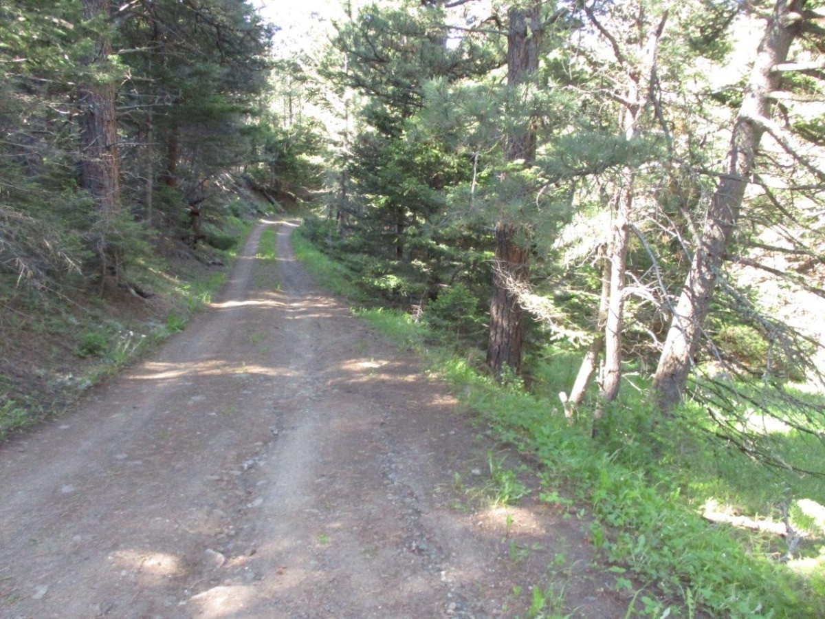 846 Upper Andy Creek Lane Property Photo 5