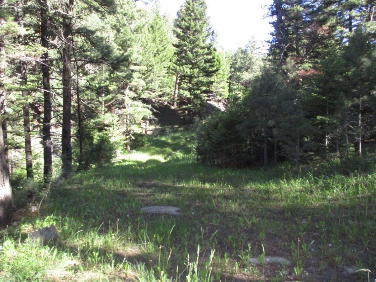 846 Upper Andy Creek Lane Property Photo 8