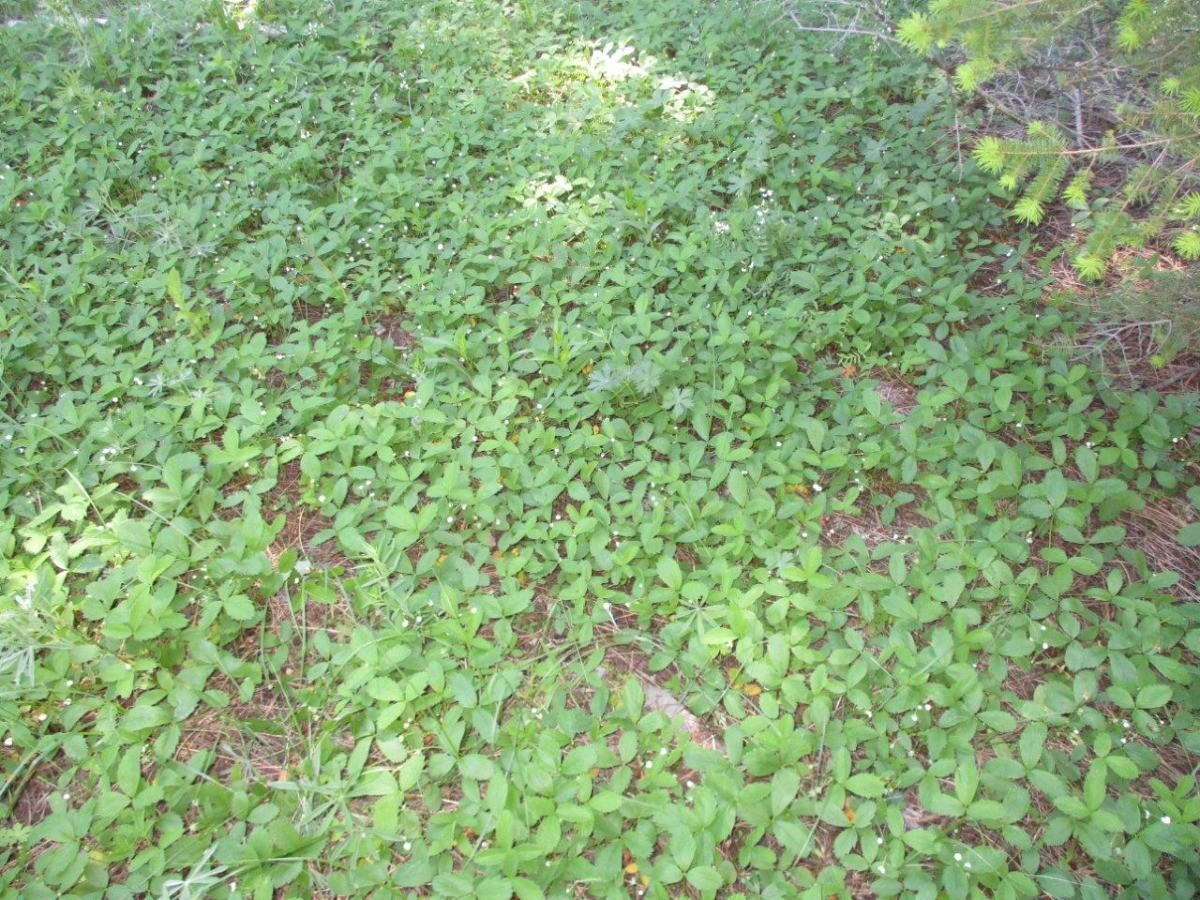 846 Upper Andy Creek Lane Property Photo 9