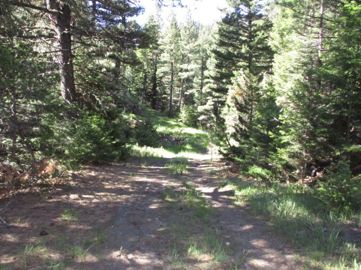 846 Upper Andy Creek Lane Property Photo 14