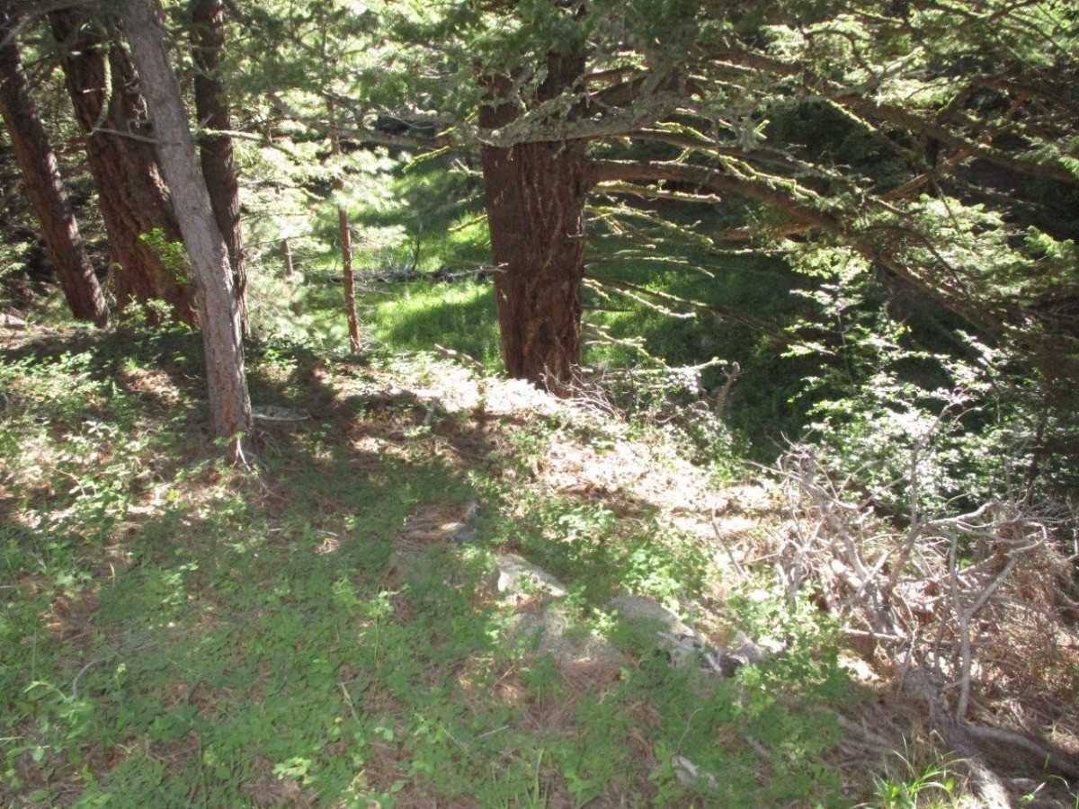 846 Upper Andy Creek Lane Property Photo 15