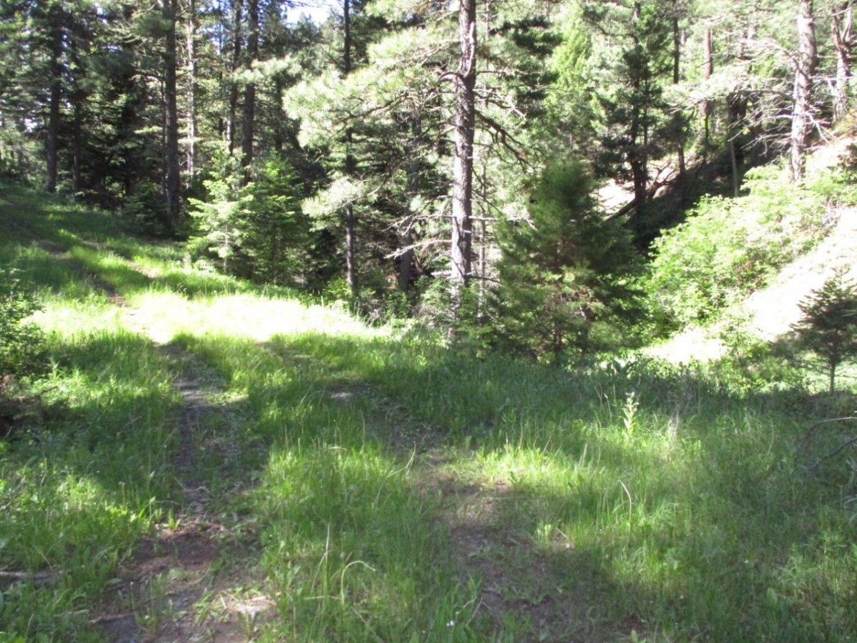 846 Upper Andy Creek Lane Property Photo 18