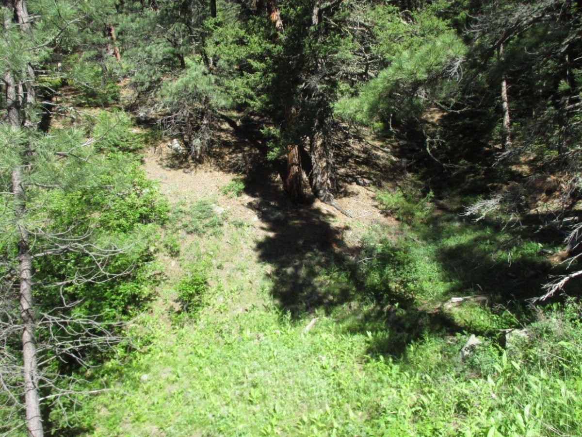 846 Upper Andy Creek Lane Property Photo 19