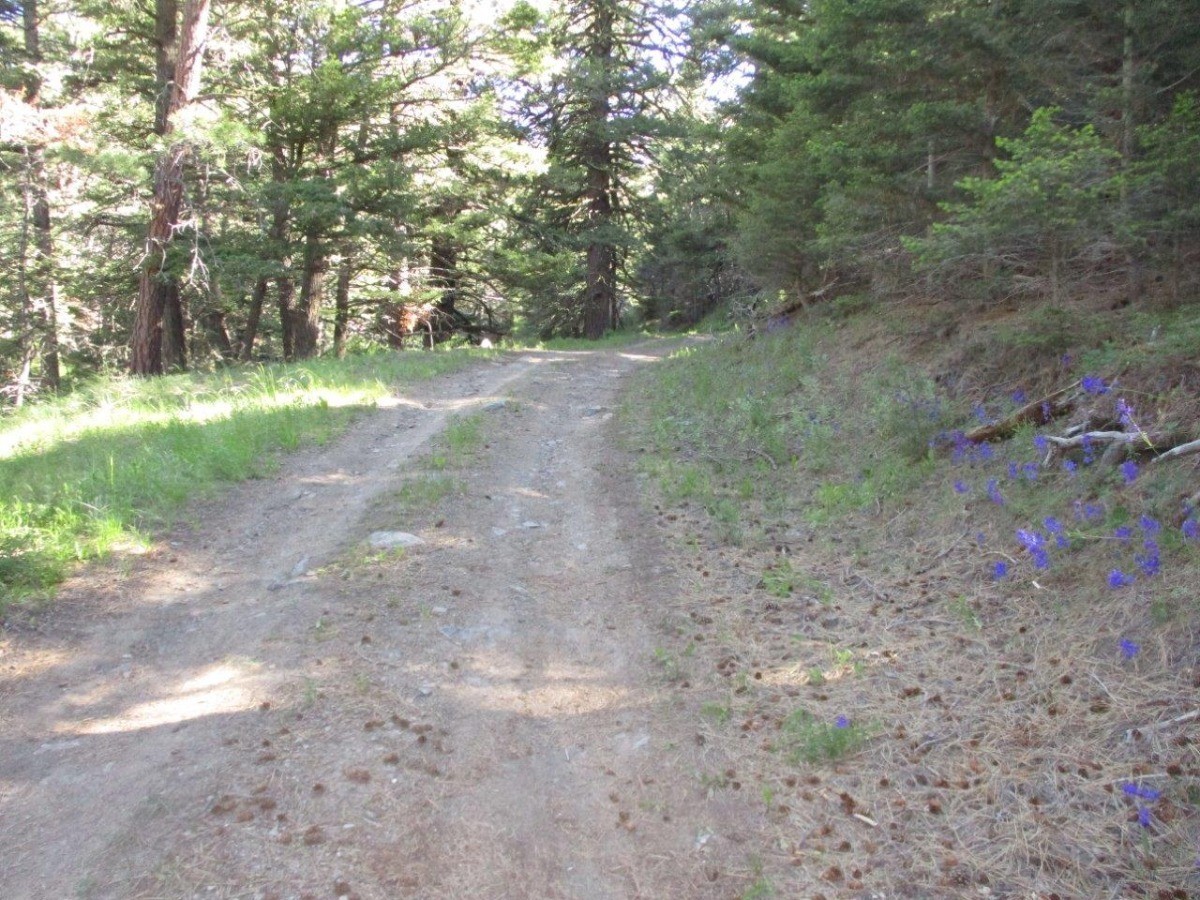 846 Upper Andy Creek Lane Property Photo 22