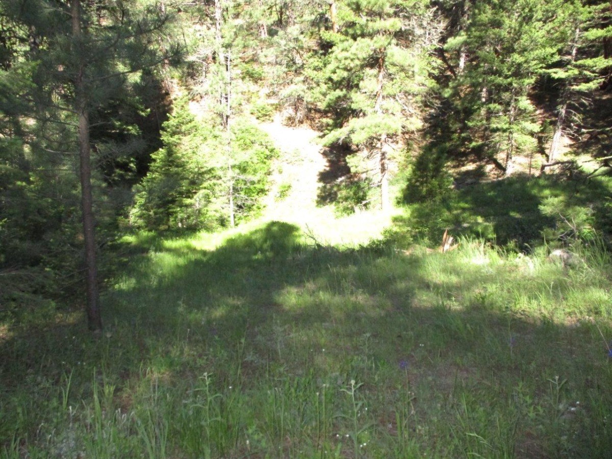 846 Upper Andy Creek Lane Property Photo 23