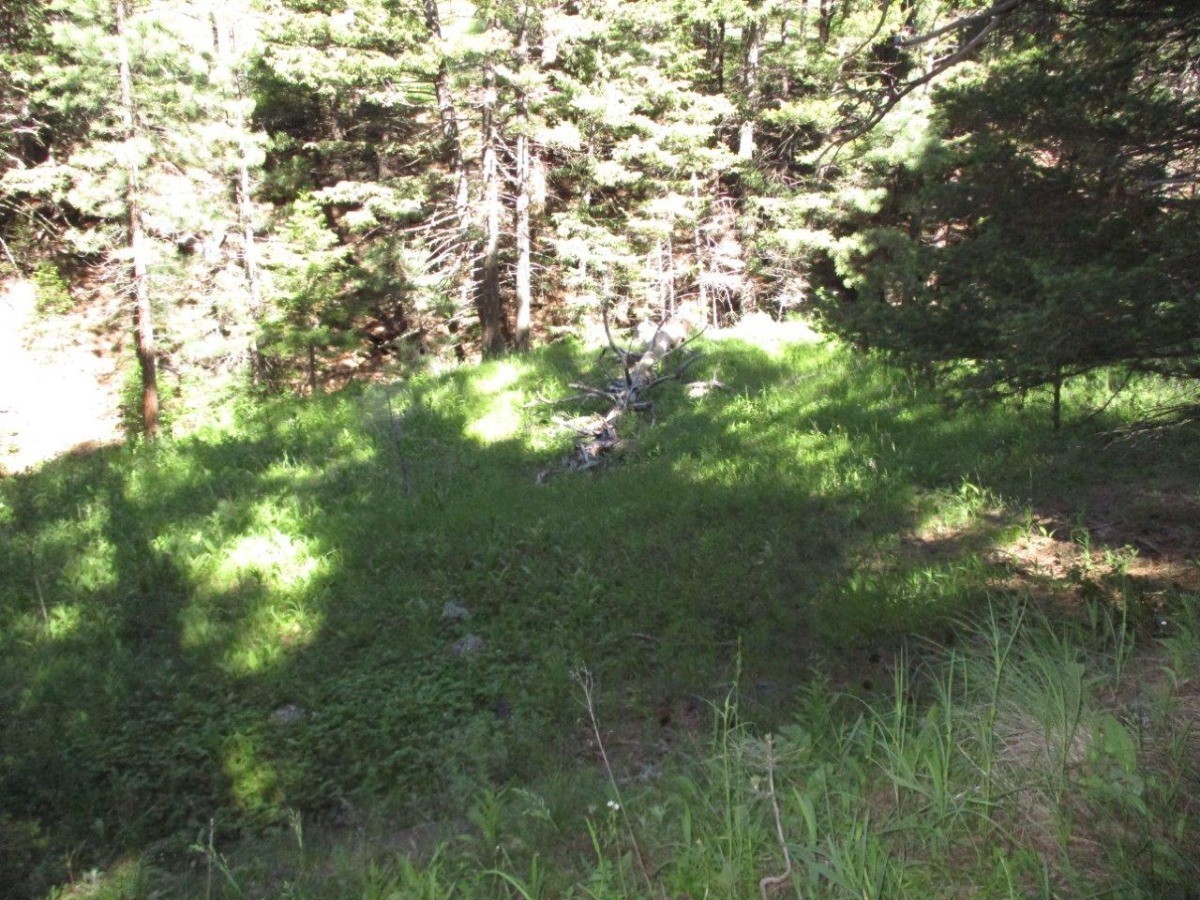 846 Upper Andy Creek Lane Property Photo 26