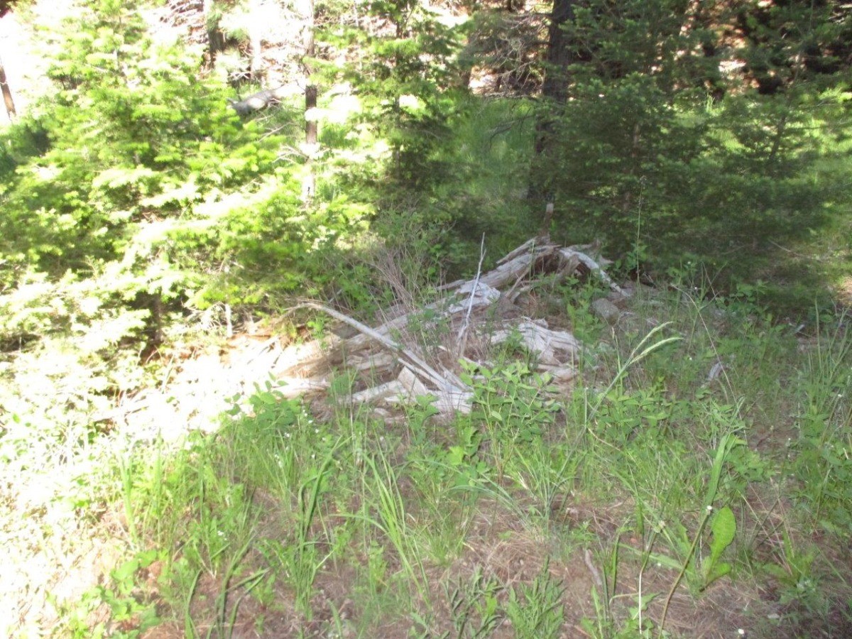 846 Upper Andy Creek Lane Property Photo 27