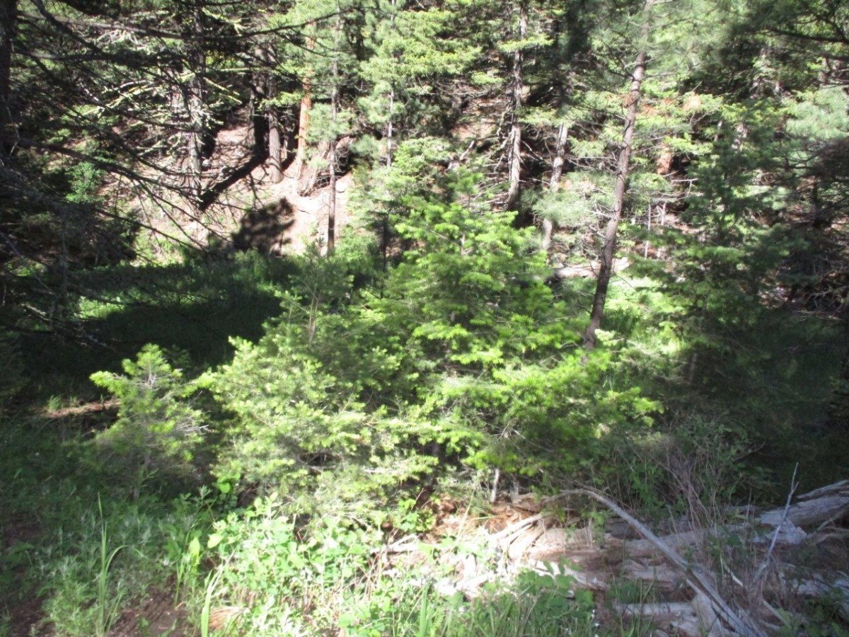 846 Upper Andy Creek Lane Property Photo 28