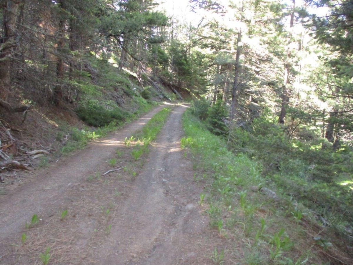 846 Upper Andy Creek Lane Property Photo 29