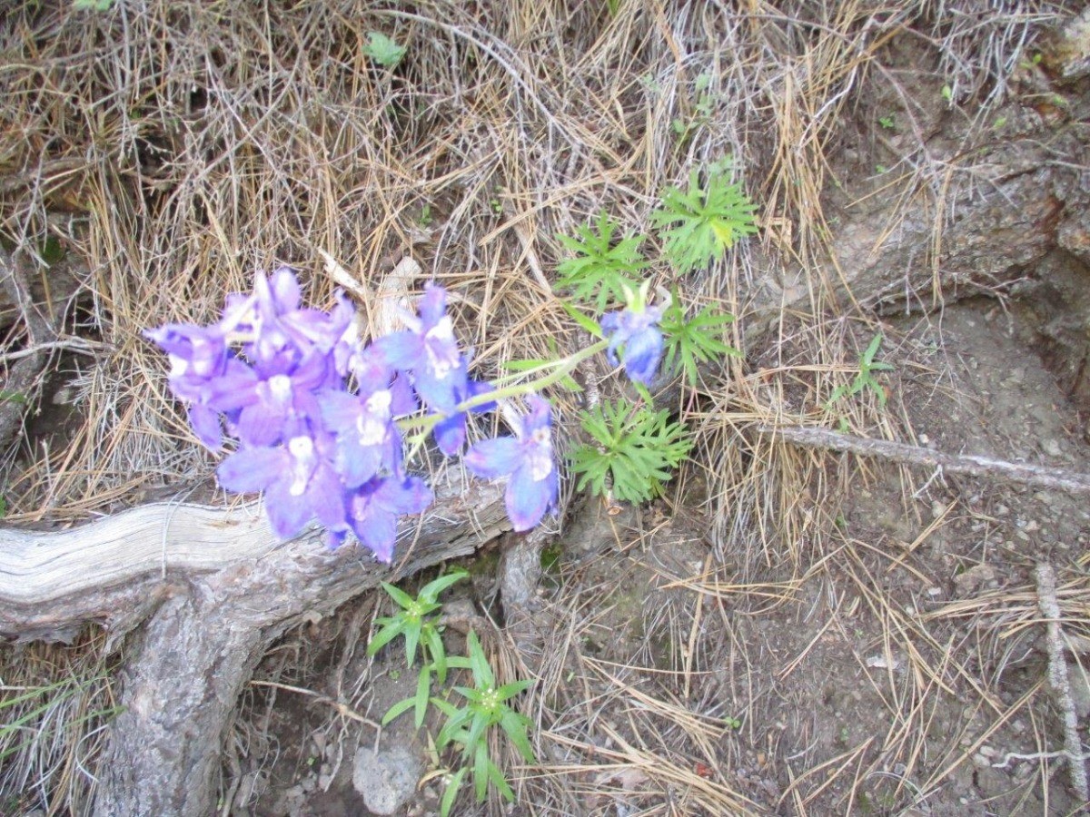 846 Upper Andy Creek Lane Property Photo 30