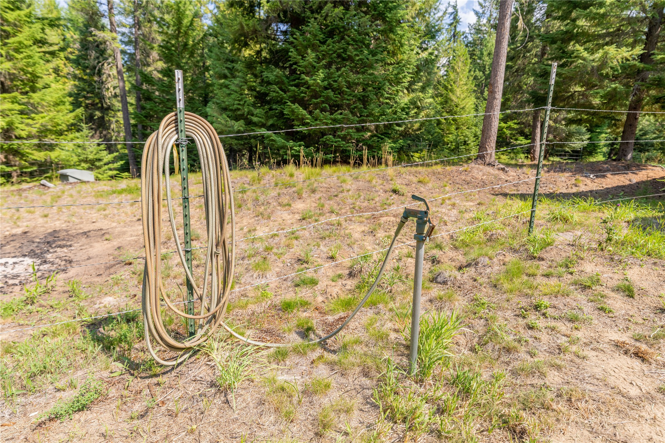 719 Doonan Mountain Road Property Photo 28