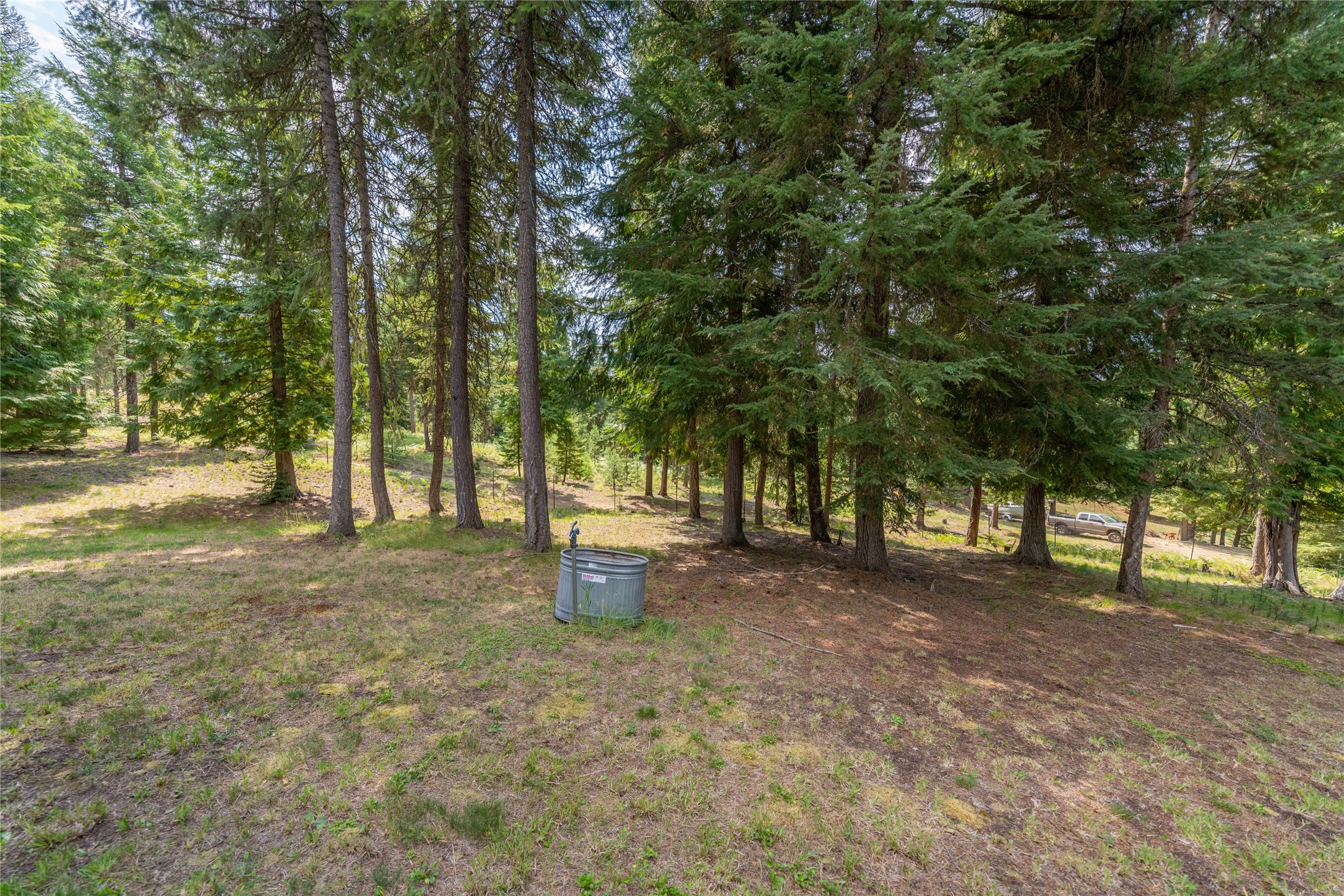 719 Doonan Mountain Road Property Photo 29
