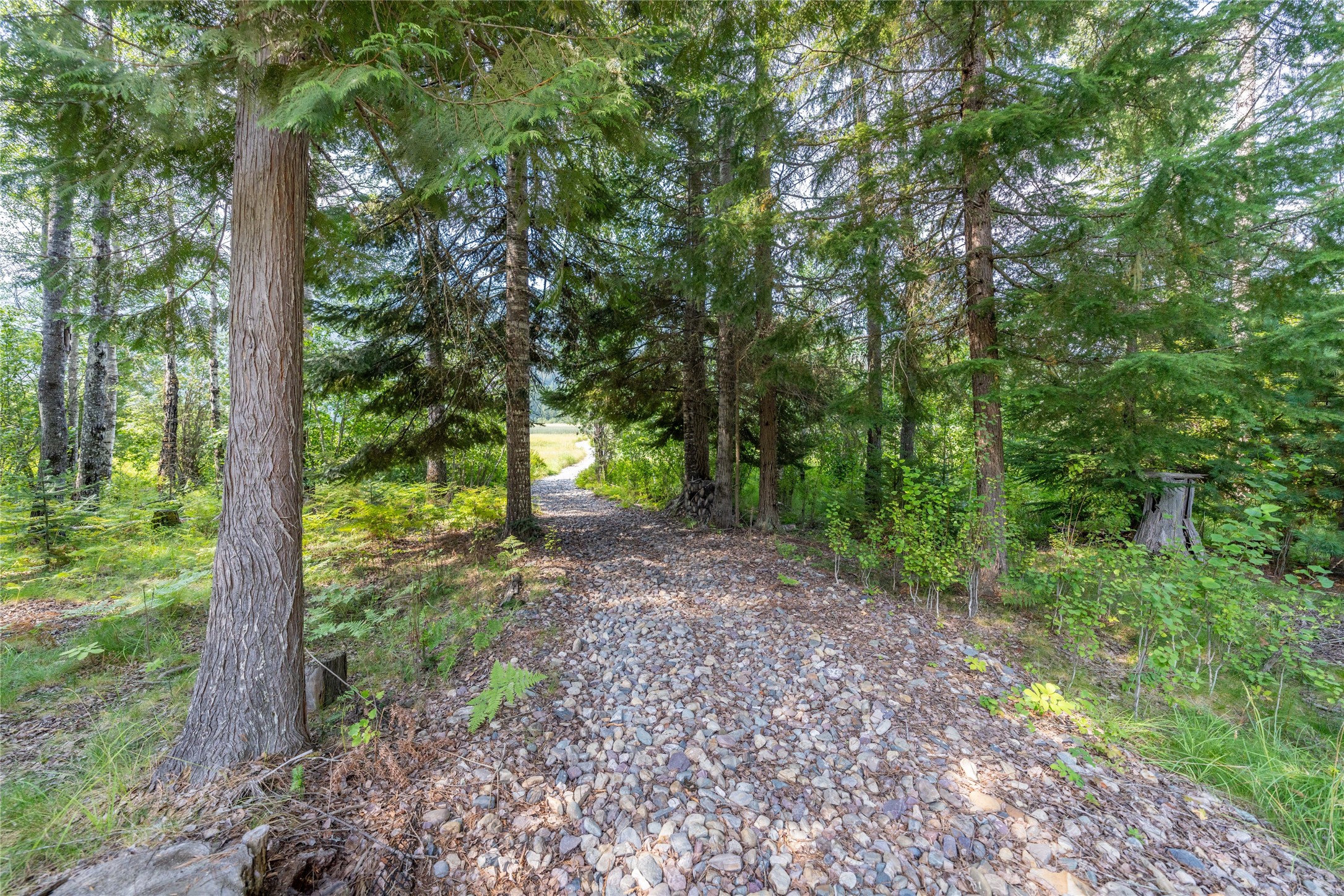 719 Doonan Mountain Road Property Photo 54