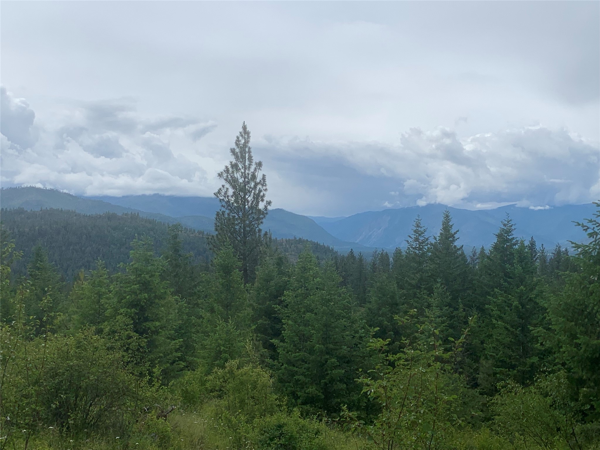24 Bighorn Bluff Road Property Photo 5