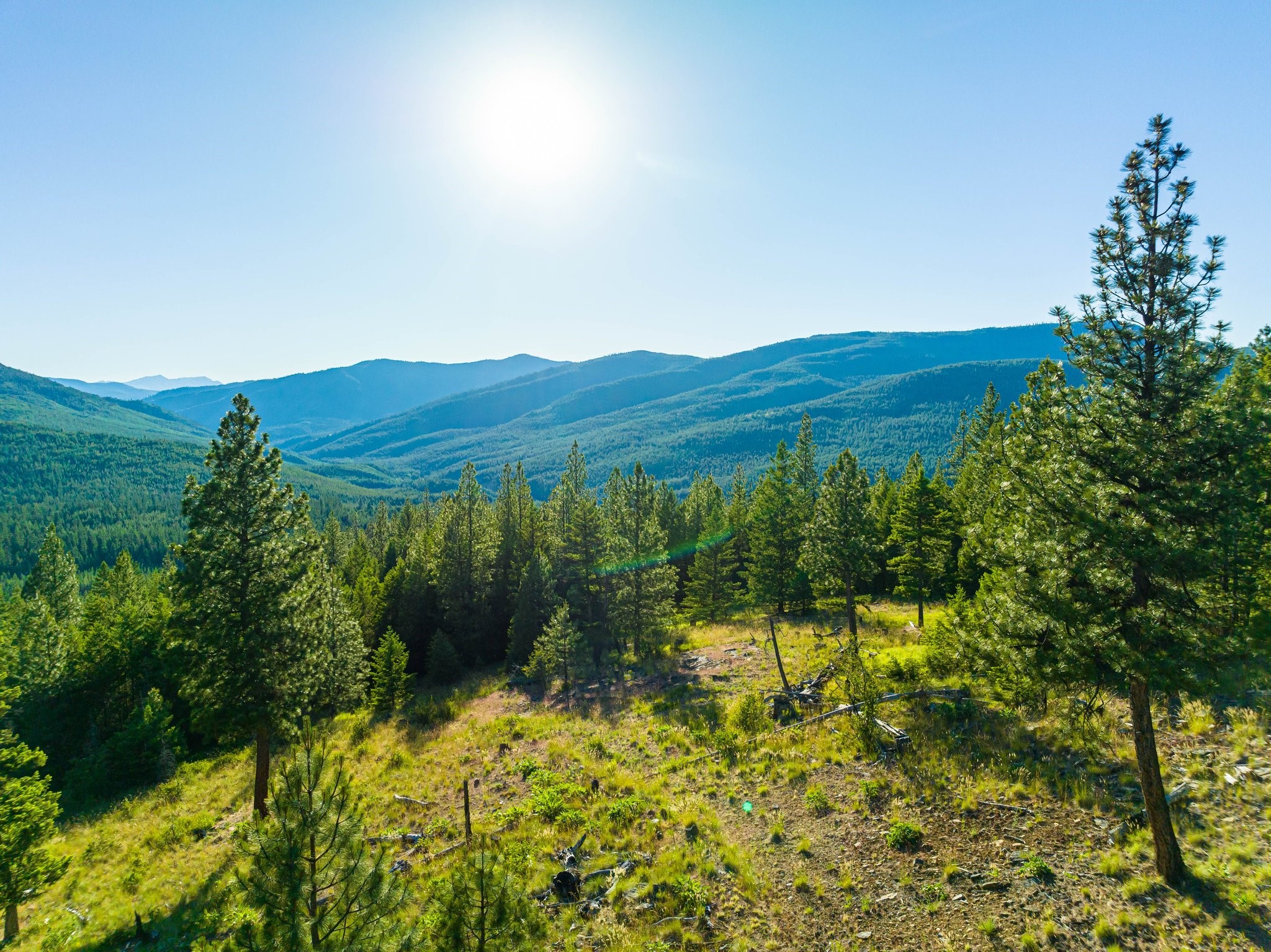 467 Wolf Creek Road Property Photo 1