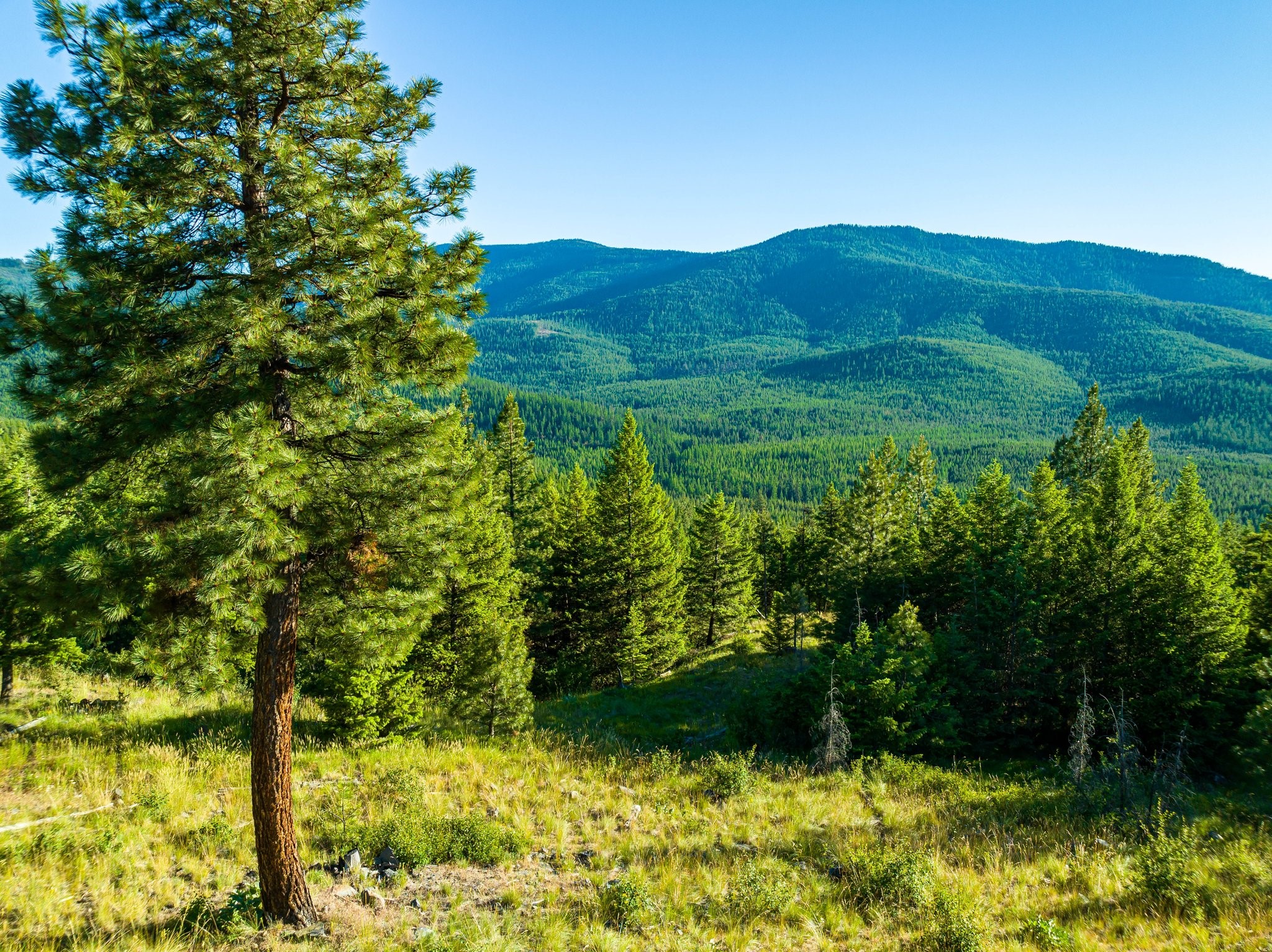 467 Wolf Creek Road Property Photo 2