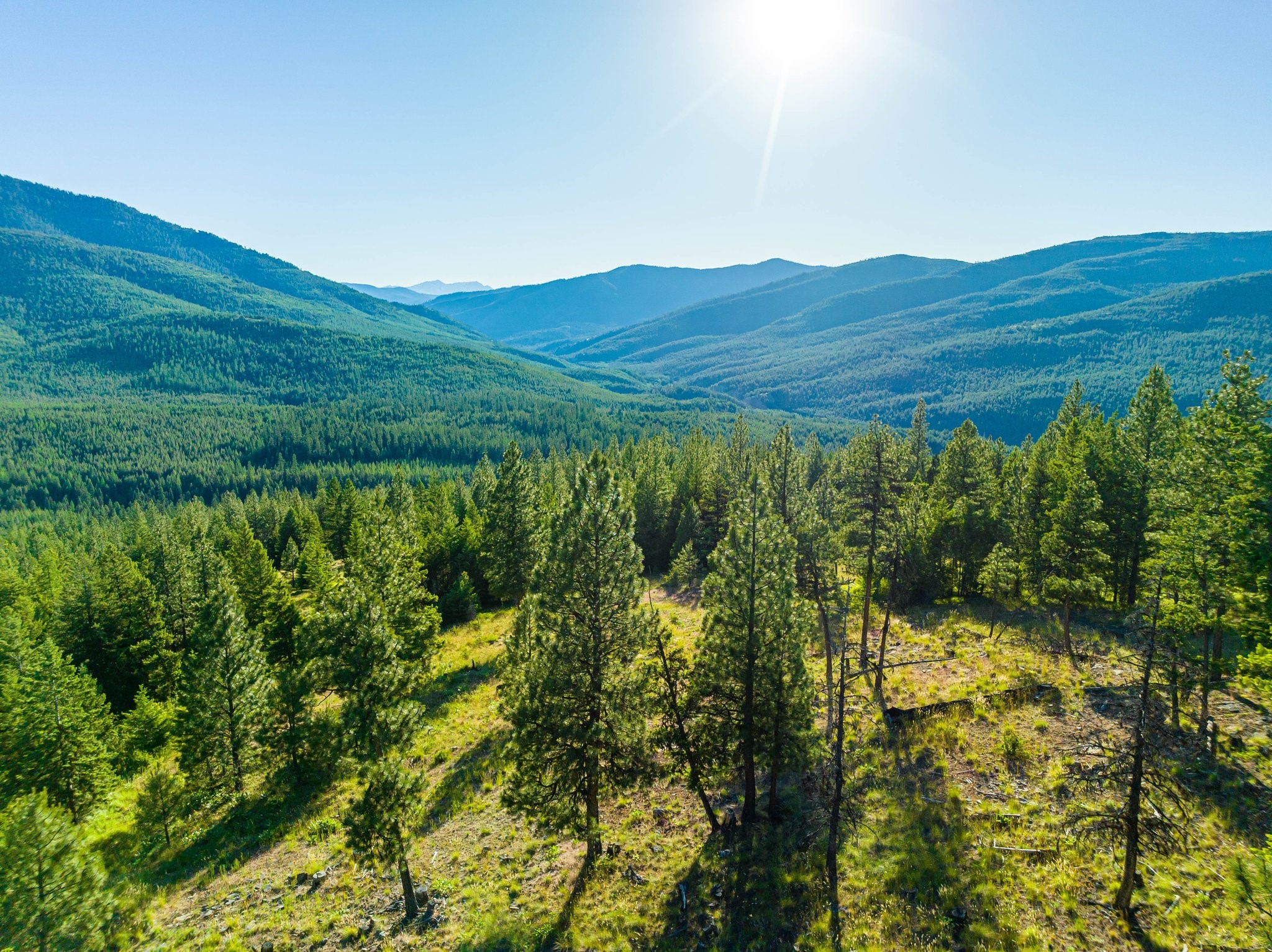 467 Wolf Creek Road Property Photo 3