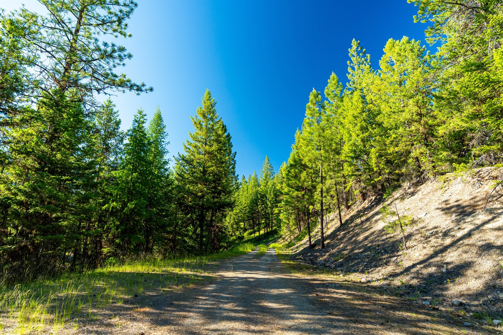 467 Wolf Creek Road Property Photo 5