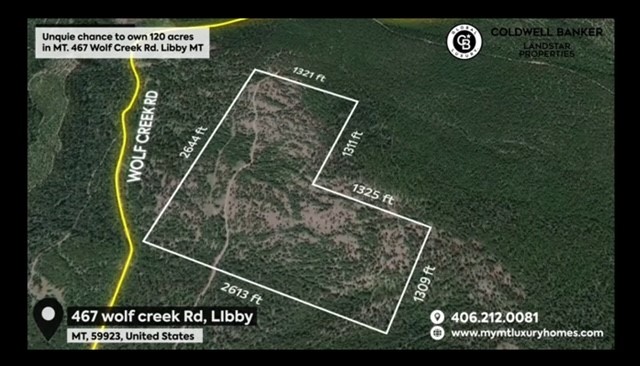 467 Wolf Creek Road Property Photo 6